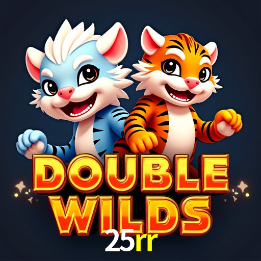 Sistemas de Segurança 25rr